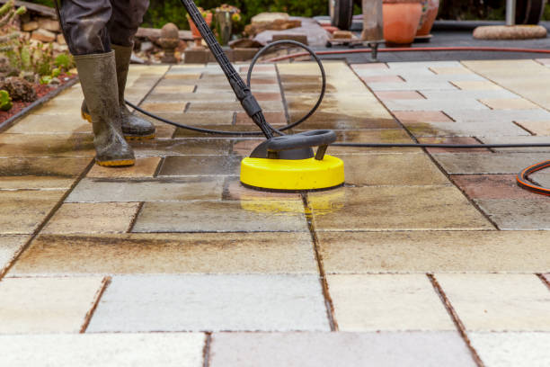 Best Gutter Cleaning  in Chesaning, MI